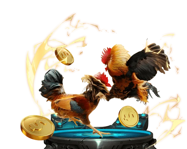 Cá cược bóng đá hi2388